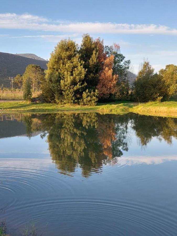 20 Good Summers Farm Stay The Crags Zewnętrze zdjęcie