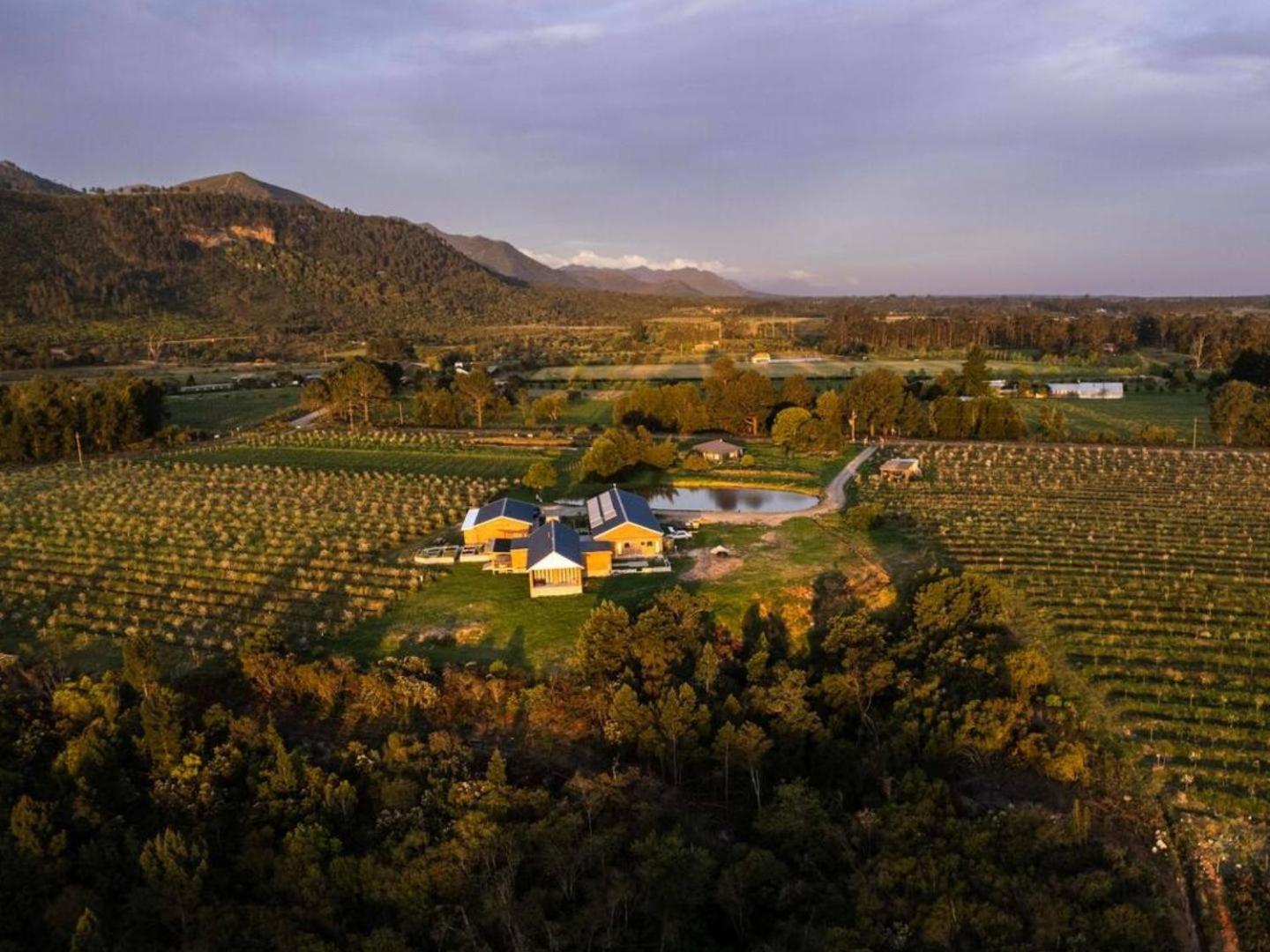 20 Good Summers Farm Stay The Crags Zewnętrze zdjęcie